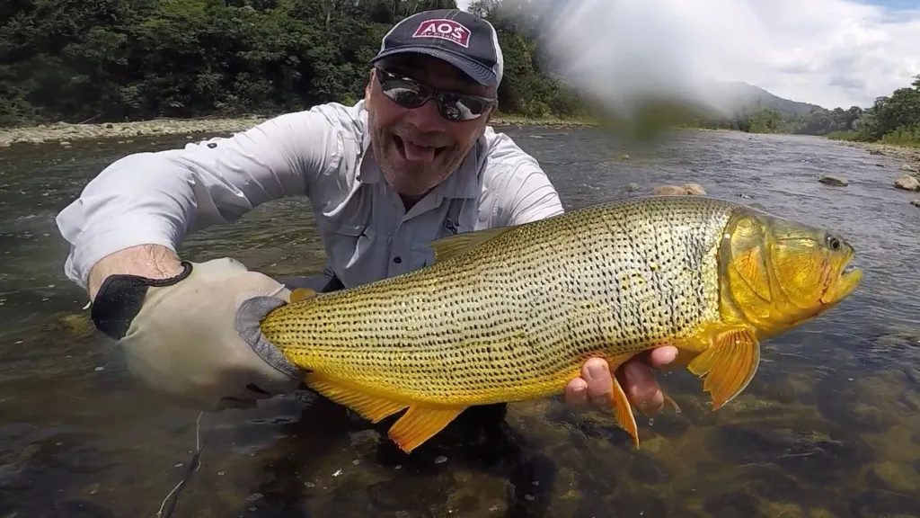 Golden Dorado – Bolivia