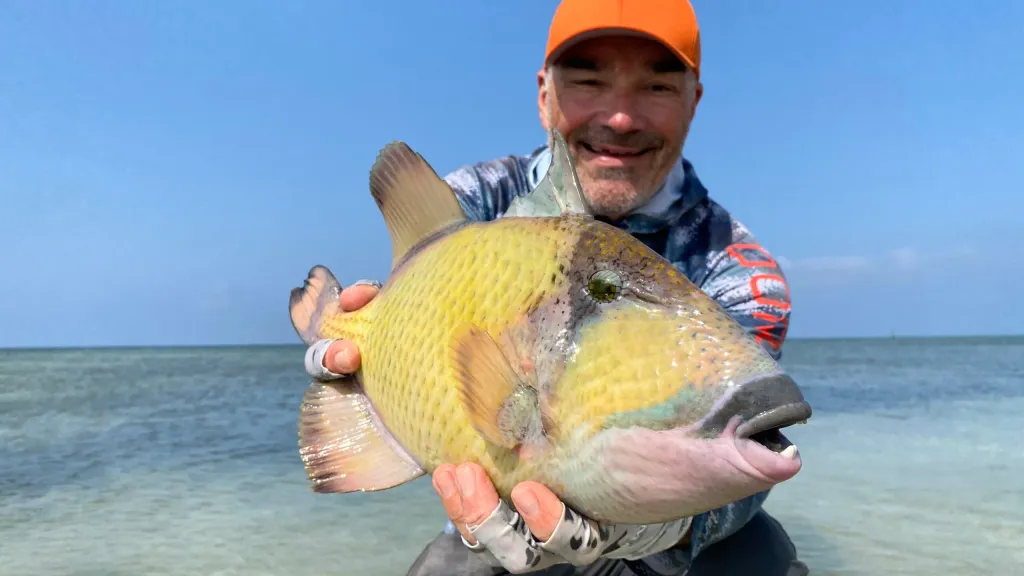 trigger fish on fly – Sudan Red Sea