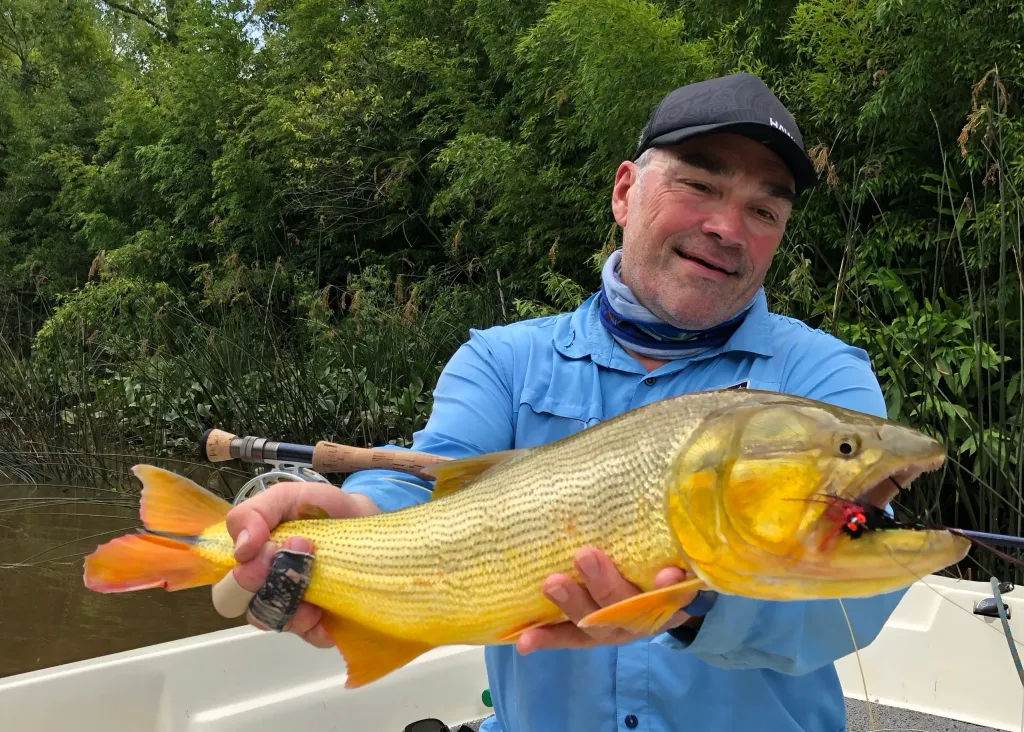 Golden Dorado – Bolivia