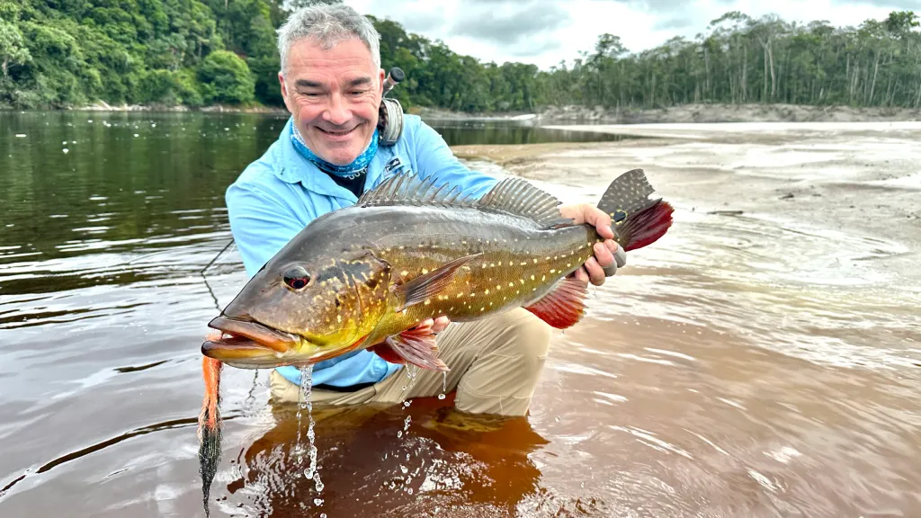 peacock bass – brazil