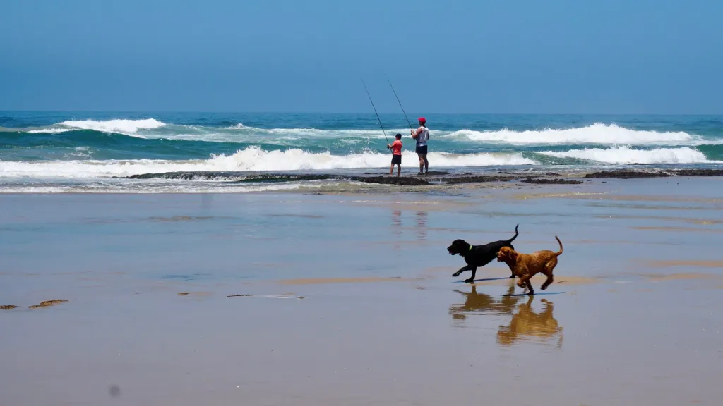 South African Beach