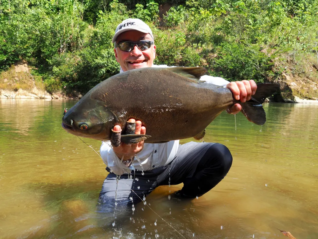 pacu – bolivia