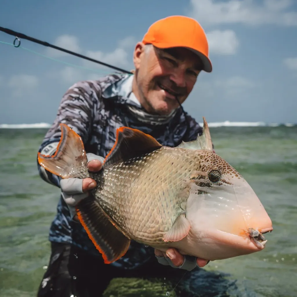 trigger fish on fly – Sudan Red Sea